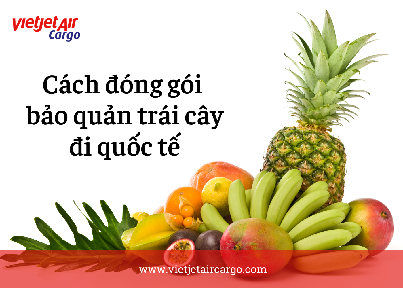 Cach-dong-goi-va-bao-quan-trai-cay-di-quoc-te-2.png